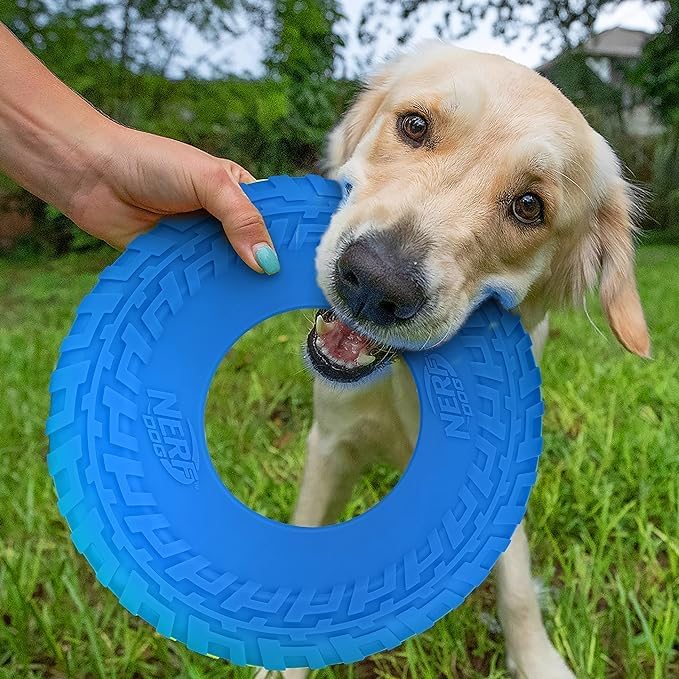 Nerf Dog Tire Flyer Outdoor Dog Toy, 10 Inch Flying Disc Dog Fetch Toy - Image 2