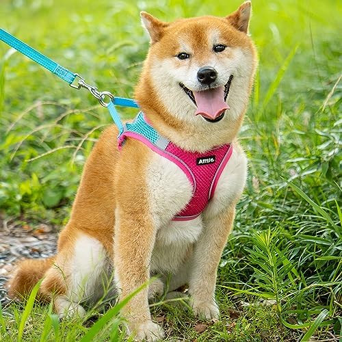 AIITLE Dog Harness and Leash Set, Step-in Puppy Pet Vest, Hot Pink L - Image 2