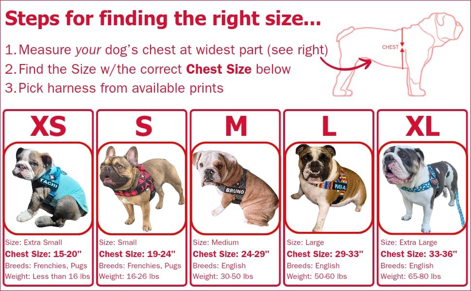 BULLHUG Adjustable Dog Harness– No Pull, No Choke – - Image 2