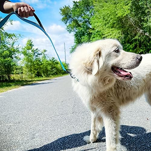 Joytale Dog Leash for Large Dogs that Pull, Double Handle, Aqua Blue - Image 3