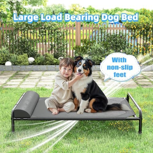 Simple Trending Elevated Dog Bed - Image 5