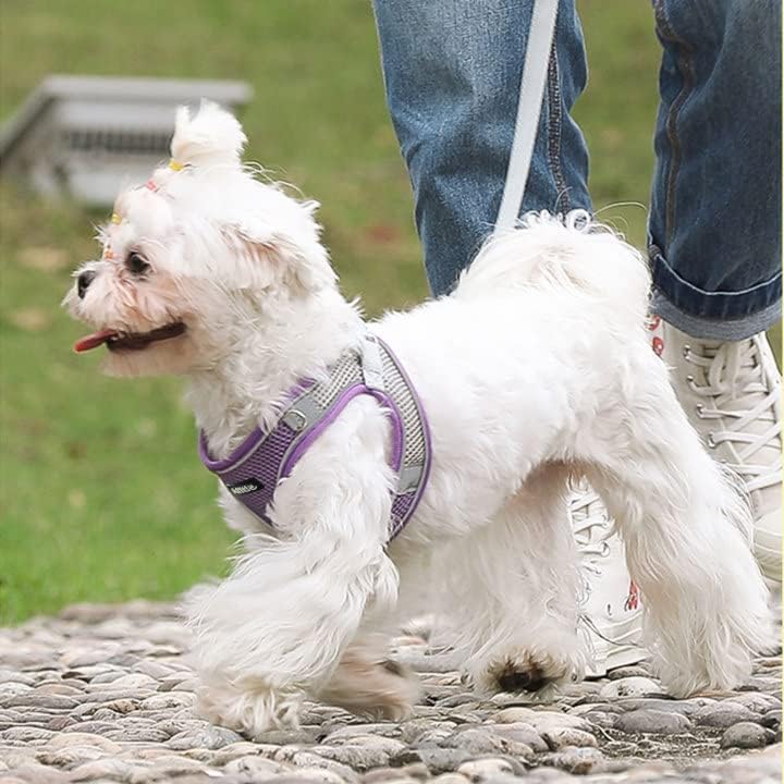 AIITLE Medium Dog Harness and Leash Set, Step-in Puppy Pet Vest - Image 6