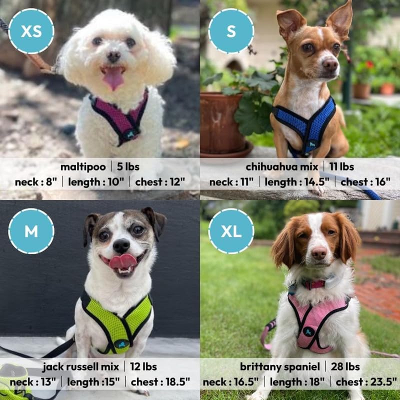Gooby Comfort X Step-in Lite Harness, Choke-Free - Image 5