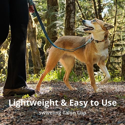 Ruffwear, Roamer Bungee Dog Leash, Orion Blue - Image 5