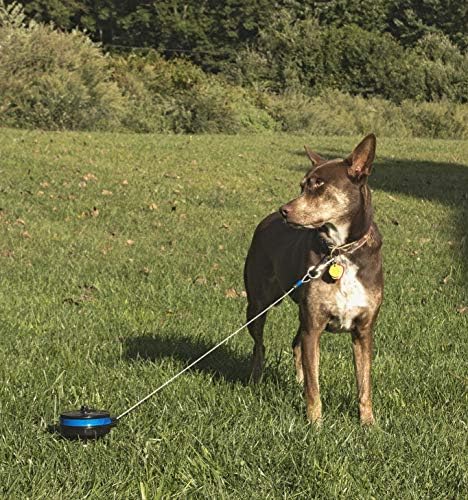 Lixit® Bracket Mount and Stake Retractable Leash Tie Outs - Image 7
