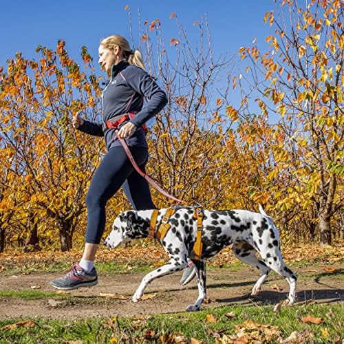 Kurgo Journey Air Dog Harness - Image 5