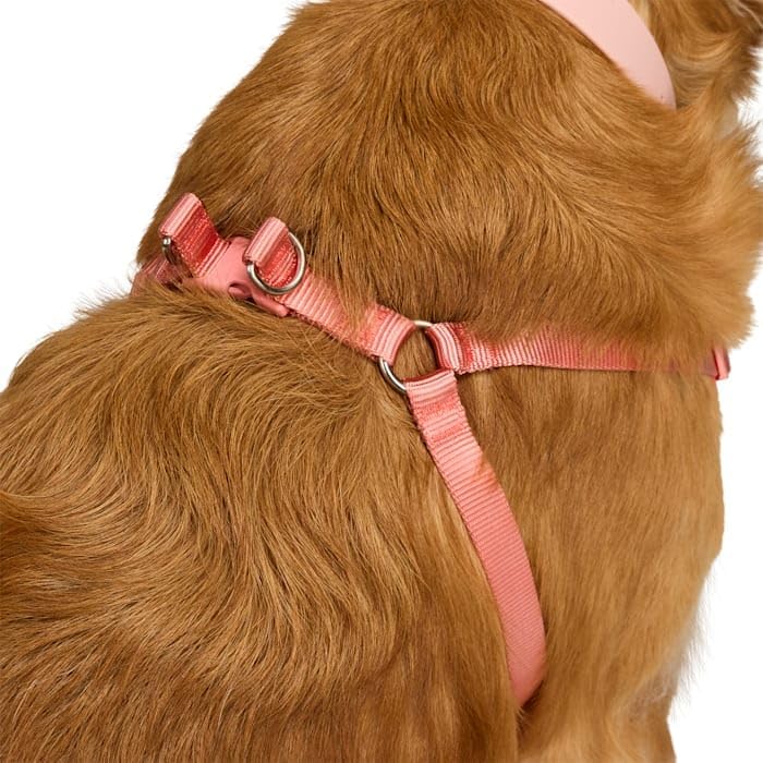 EveryYay by Petco Step in Dog Harness Pink Small - Image 3