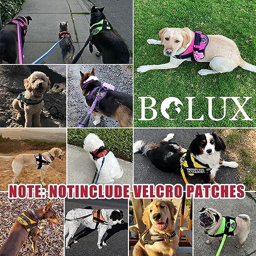 Bolux Dog Harness, No-Pull Reflective Dog Vest, Breathable Adjustable Pet - Image 5