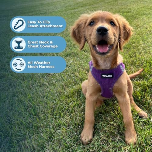 Best Pet Supplies Voyager Step-in Air All Weather Mesh Harness and Reflective - Image 5