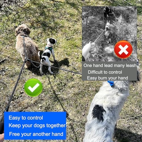 Heavy Duty 3 Dog Leash for Small Dogs No Tangle Detachable 360° Swivel Device - Image 3