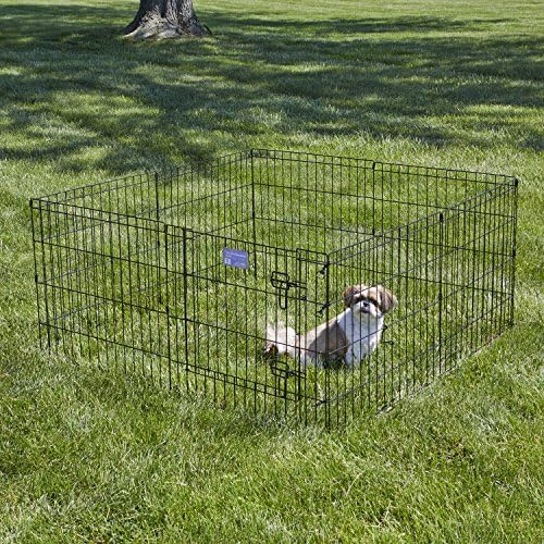 MidWest 24-Inch Exercise Pen, Single Door, 16 Sq Ft Play Area - Image 2