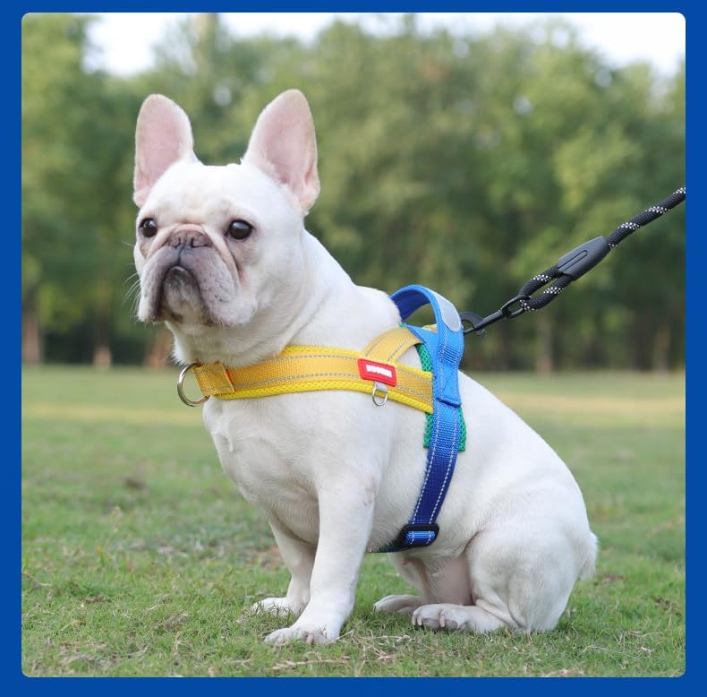 Dog Harness, No Pull Dog Harness, Adjustable Soft Harness - Image 2
