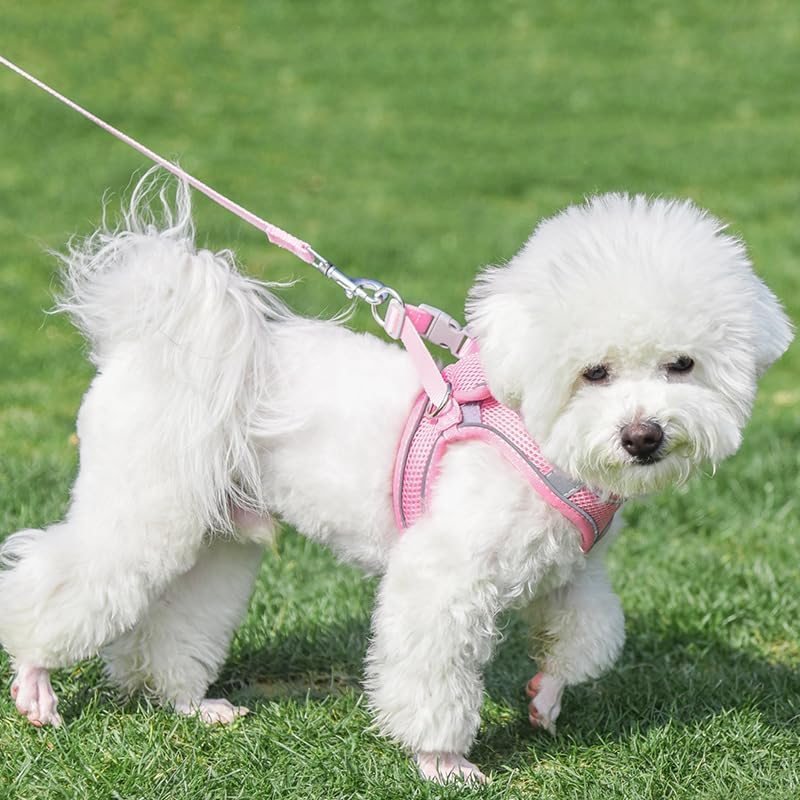 AIITLE Dog Harness and Leash Set, Step-in Puppy Pet Vest, Pure Pink S - Image 5