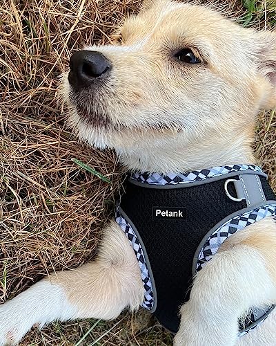 Petank Dog Harness for Small Medium Dogs No Pull, Puppy Harness and Leash Set - Image 2
