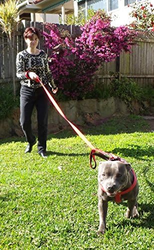 Primal Pet Gear Dog Leash 6ft Long, Traffic Padded Two Handle, Heavy Duty - Image 3