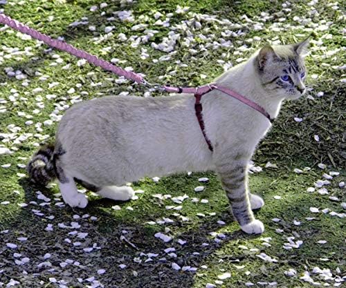 PetSafe Come with Me Kitty Harness and Bungee Cat Leash, Dusty Rose - Image 2
