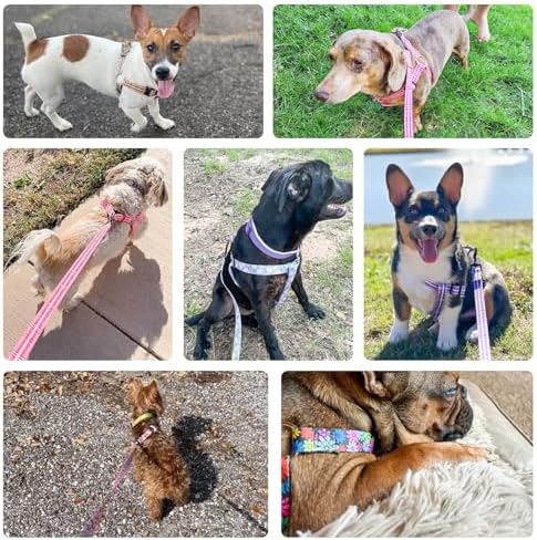 BEAUTYZOO No Pull Dog Harness and Leash Set - Image 3