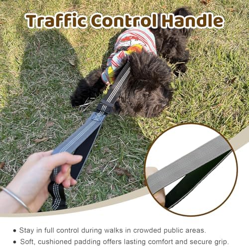 Double Dog Leash - Image 4