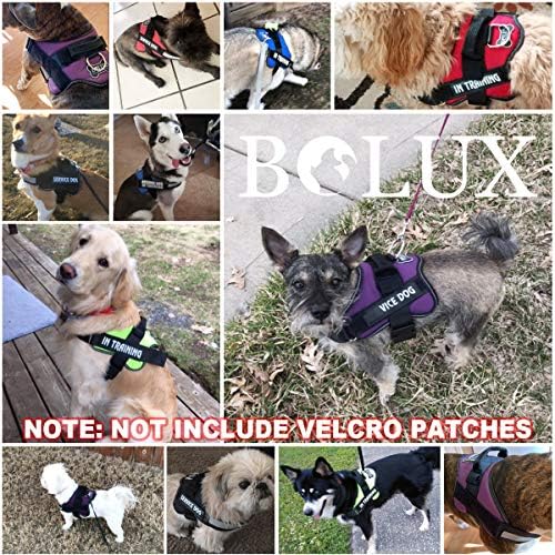 Bolux Dog Harness, No-Pull Reflective Dog Vest, Breathable Adjustable Pet - Image 5