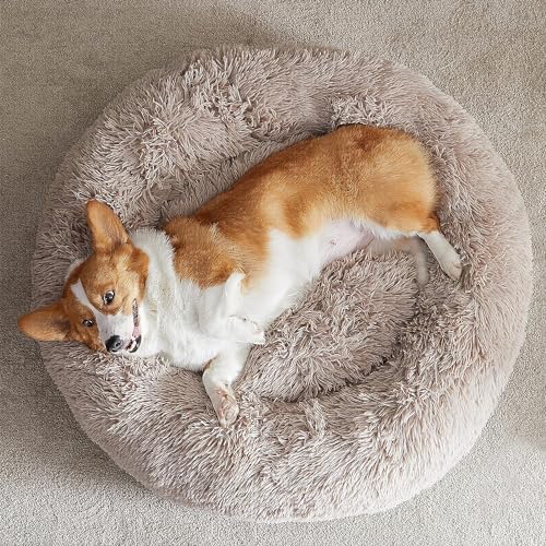 WNPETHOME Large Round Calming Dog Bed Cat Bed - Image 6