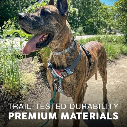 Embark No Pull Dog Harness, Reflective Adjustable Training Vest, No Choke - Image 5