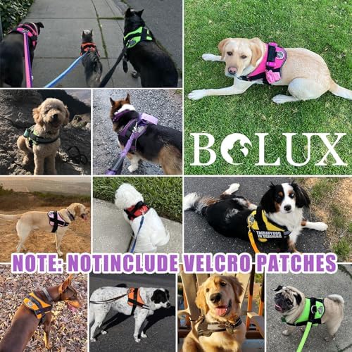 Bolux Dog Harness, No-Pull Reflective Dog Vest, Breathable Adjustable Pet - Image 7