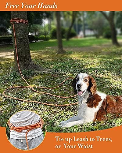 Long Rope Leash for Dog Training 10FT 16FT 30FT 50FT 100FT, Reflective Threads - Image 5