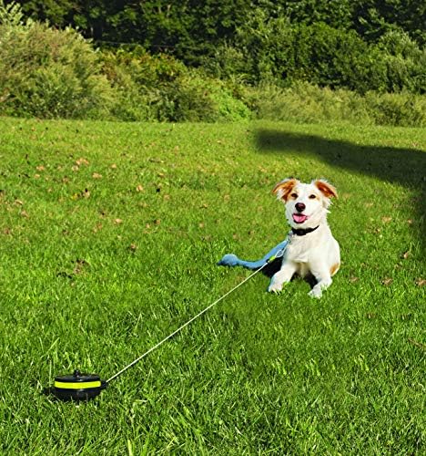 Lixit® Bracket Mount and Stake Retractable Leash Tie Outs - Image 7