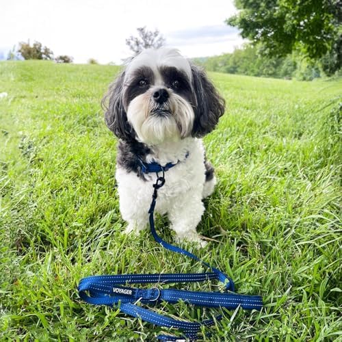Best Pet Supplies Voyager Nylon Dog Leash - Image 2