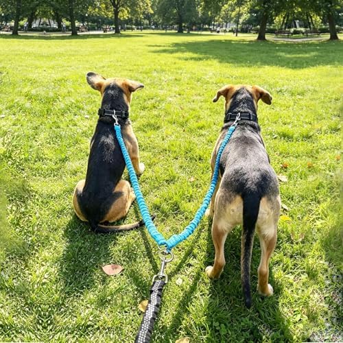 Double Dog Leash Coupler, Different Length Splitter - Image 6