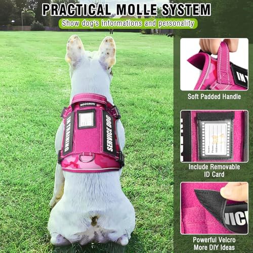 Tactical Service Dog Vest and Leash Set - Image 2