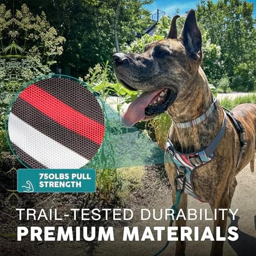 Embark No Pull Dog Harness, Reflective Adjustable Training Vest, No Choke - Image 6