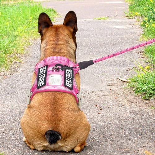 Beebiepet Tactical No Pull Dog Harness - Image 3