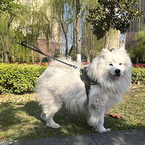 Joytale Dog Leash for Large Dogs that Pull, Double Handle - Image 5