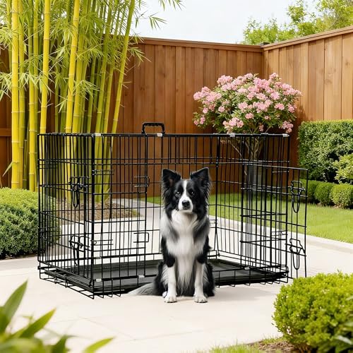 FDW | 42" Foldable Metal Dog Crate | Dark Black | Cage - Image 2