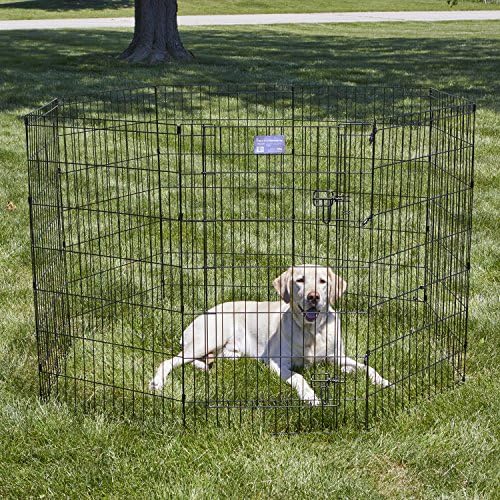 MidWest 42-Inch Exercise Pen, Single Door, 16 Sq Ft Play Area - Image 2