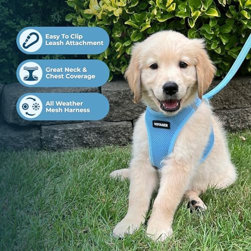 Best Pet Supplies Voyager Step-in Air All Weather Mesh Harness and Reflective - Image 5