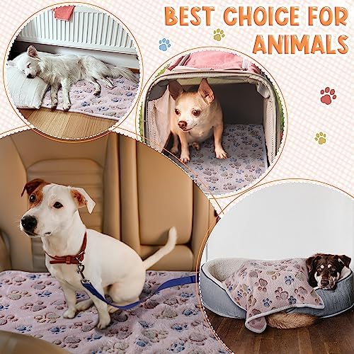 Tatuo 4 Pack Fleece Dog Blanket - Image 2