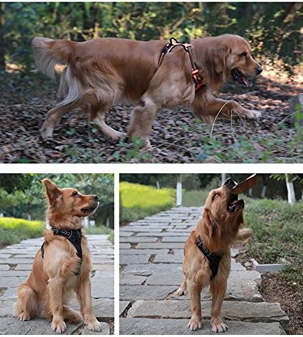 JUXZH Truelove No Pull Dog Harness - Image 4