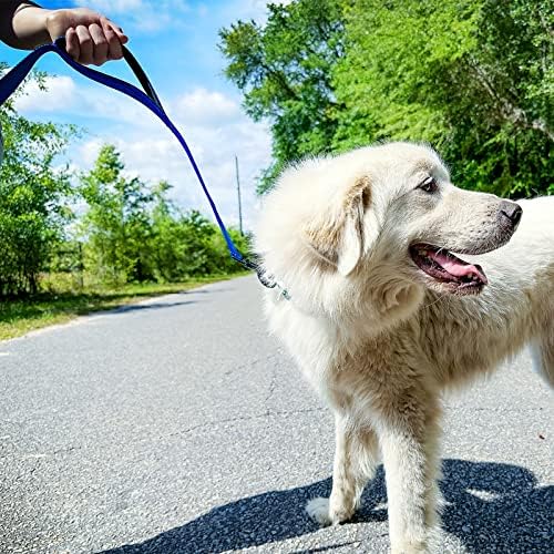 Joytale Dog Leash for Large Dogs that Pull, Double Handle, Royal Blue - Image 4
