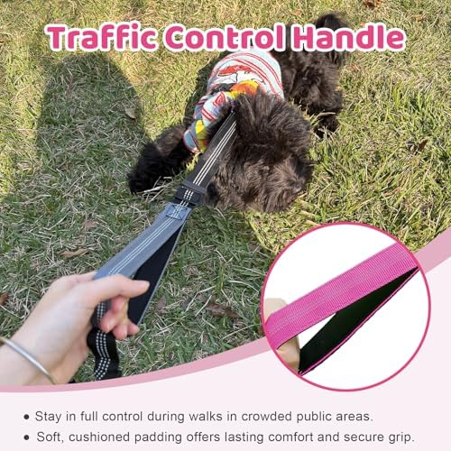 Double Dog Leash - Image 5