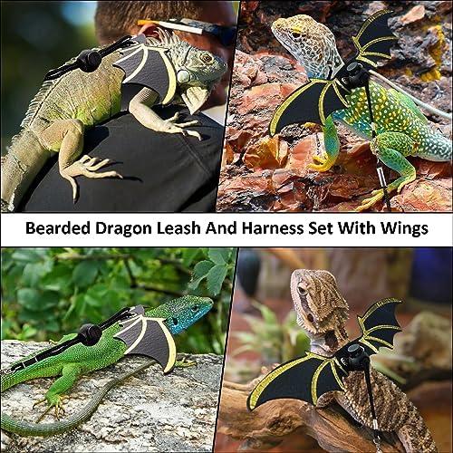 Bearded Dragon Leash and Harness Set, Bearded Dragon Accessories, Beardeds - Image 5