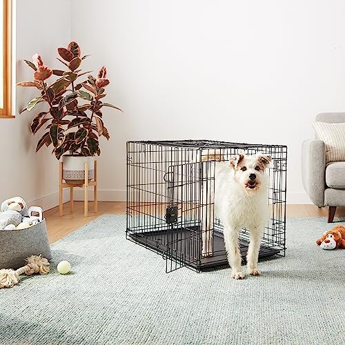 Amazon Basics Portable, Foldable Metal Wire Dog Crate - Image 5