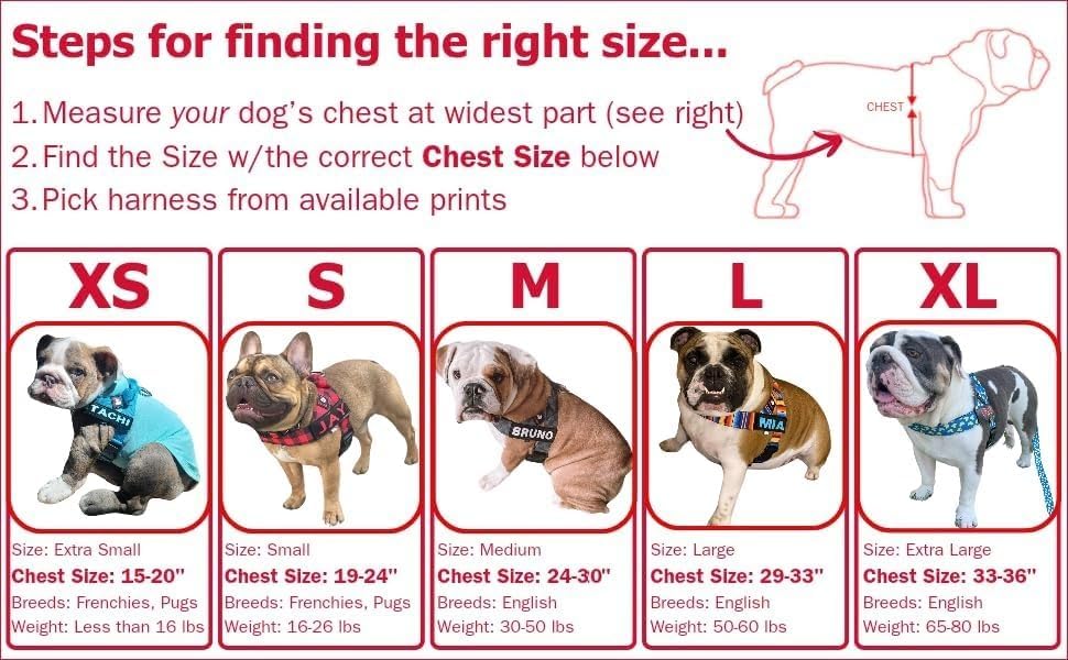 BULLHUG Adjustable Dog Harness– No Pull, No Choke – - Image 2