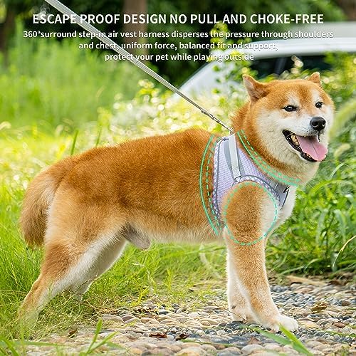 AIITLE Teacup Puppy Harness - Image 2