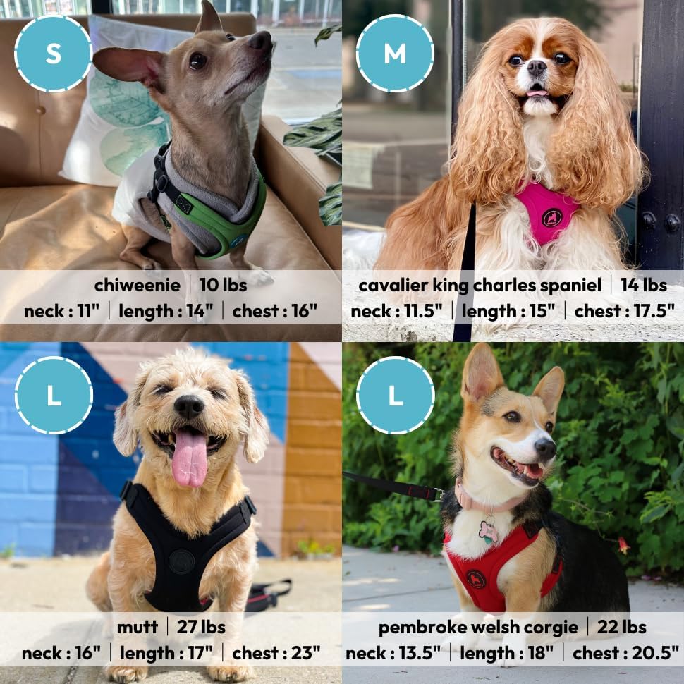 Gooby, Dog Harness, 4-Point Adjustment, No Choke - Image 5