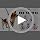 BEAUTYZOO Dog Harness Small Sized Dog Girl, No Pull Dog Harness and Leash Set - Image 7
