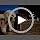 PUPTECK Dog Harness, Collar and Leash Set No Pull - Image 7