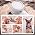 Dog Shower Attachment with 1-Year Filter Supply & 3 Modes - Image 7